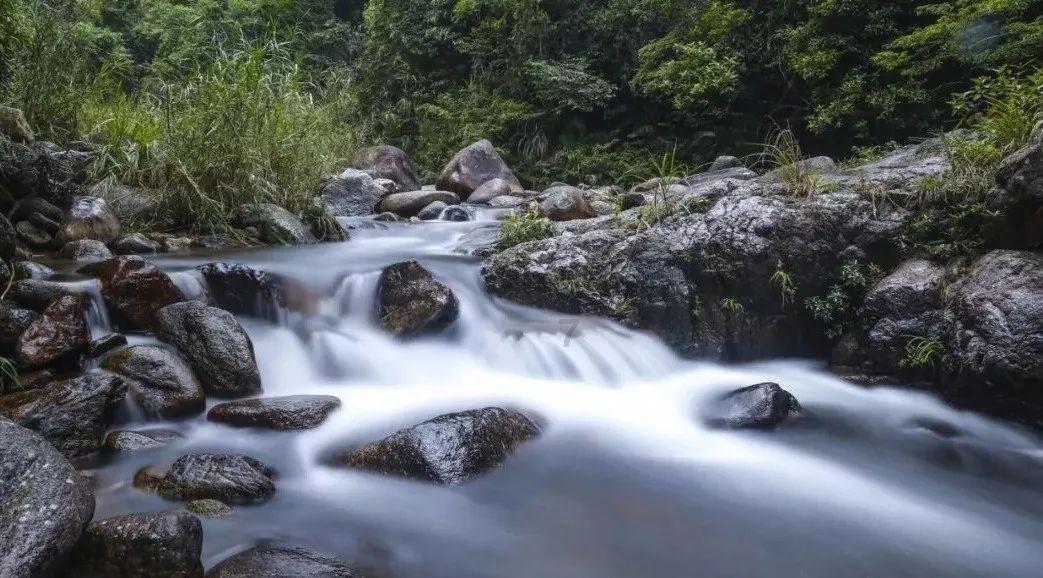 业绩预警!海底捞上半年亏超2亿元,为何股价却一度大涨超10%?-最全面的有问必答平台